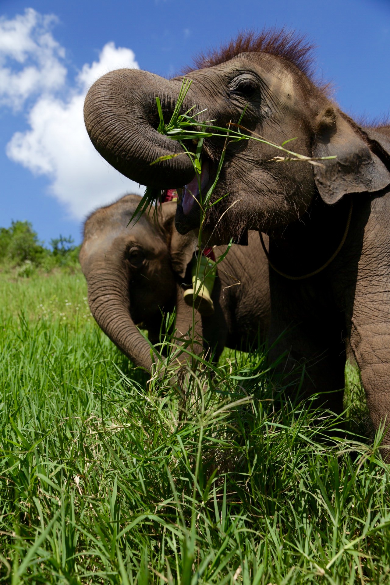 Chiang Mai