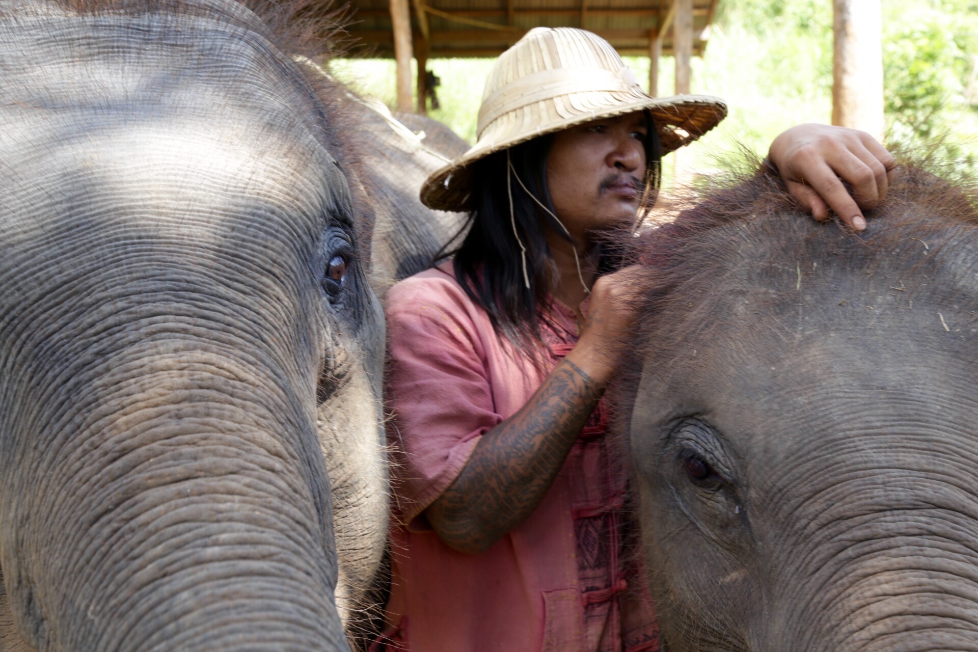 Chiang Mai