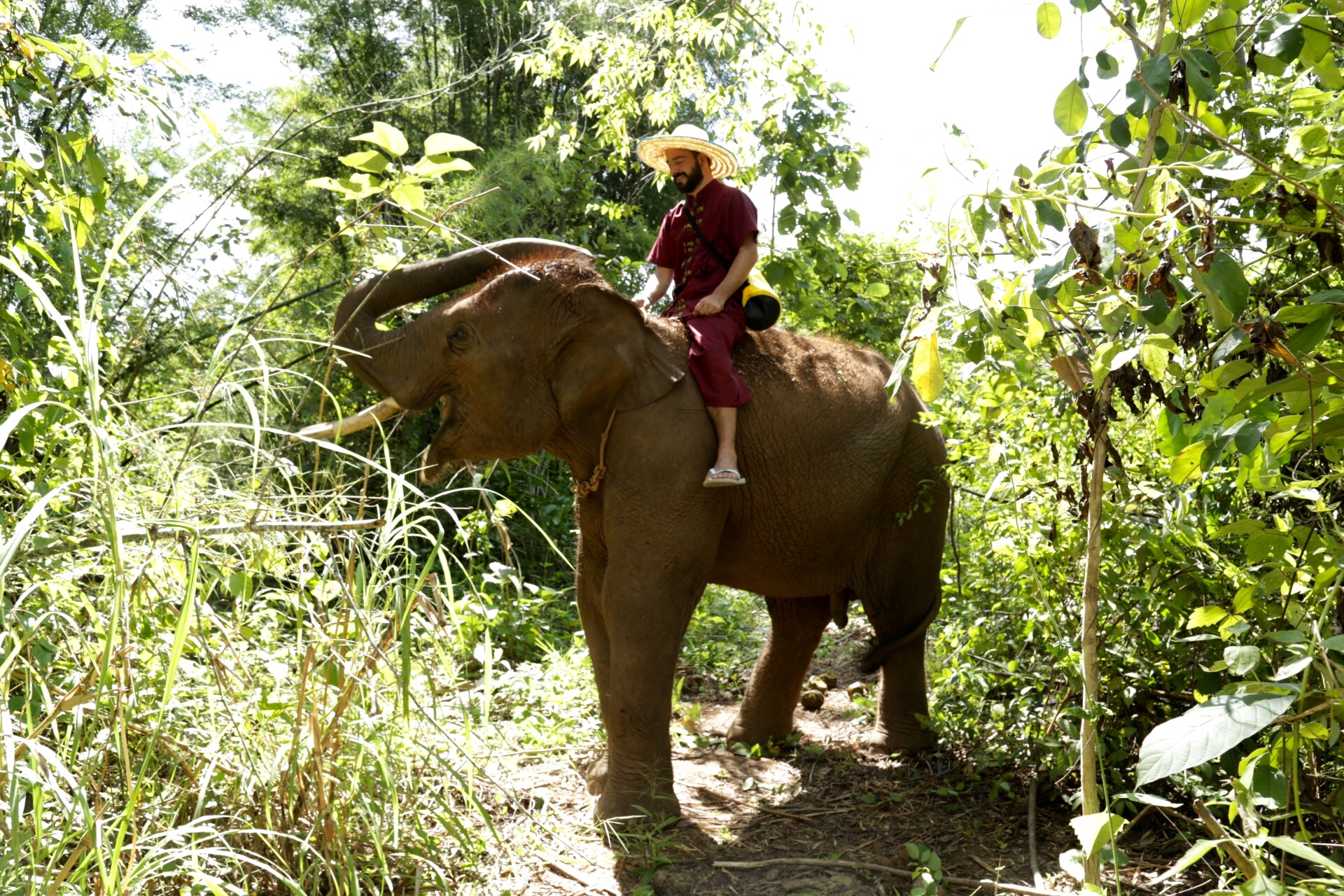 Chiang Mai