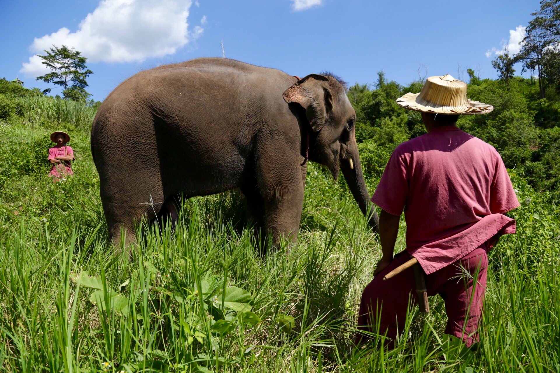 Chiang Mai