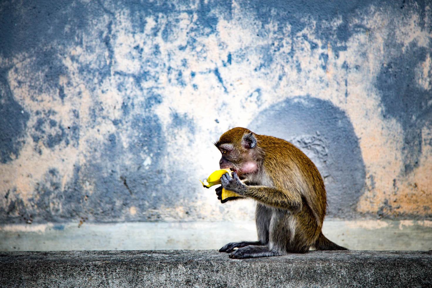 Kuala Lumpur-Batu Caves