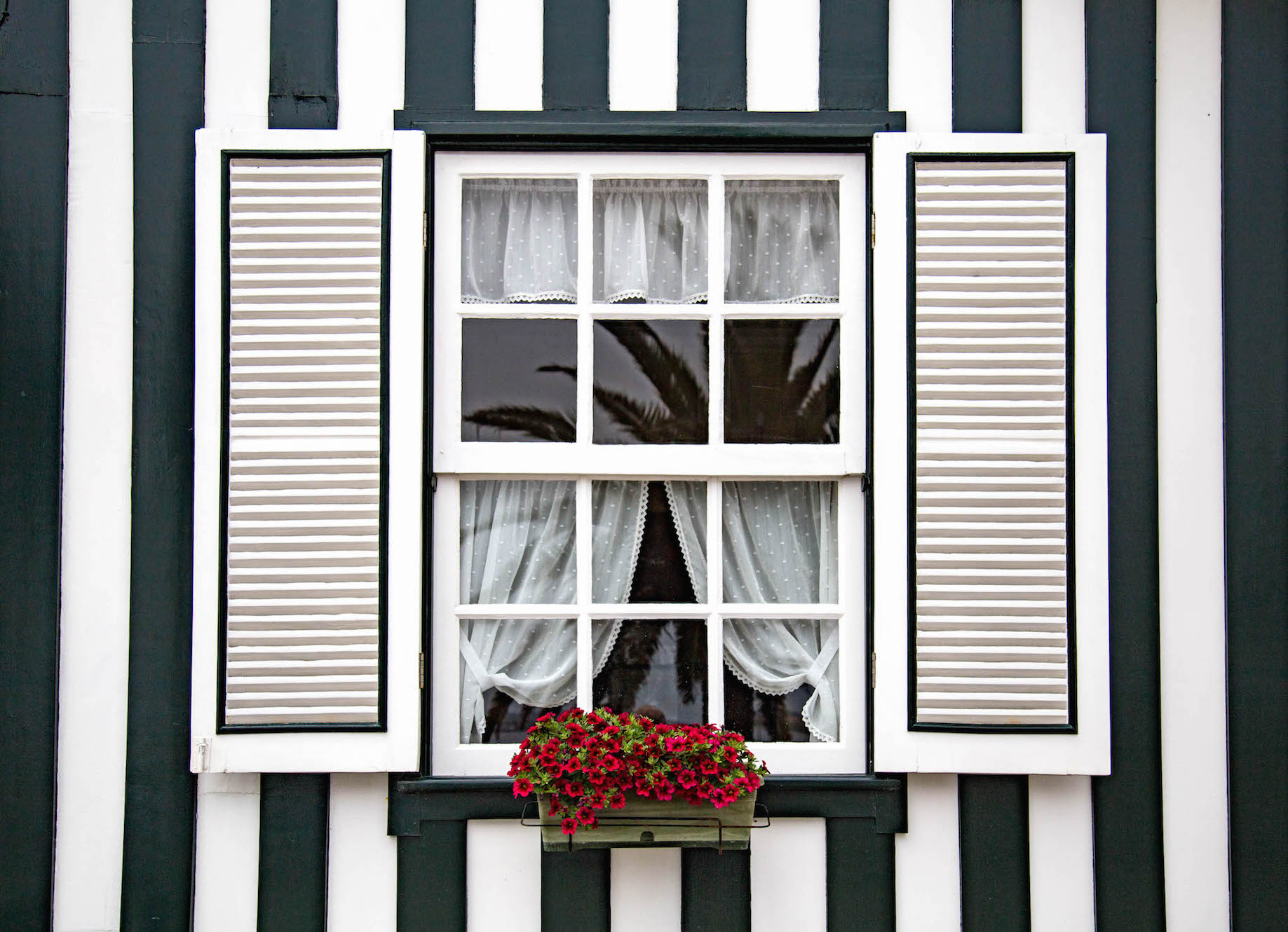 Costa Nova-window-portugal-momentsofyugen