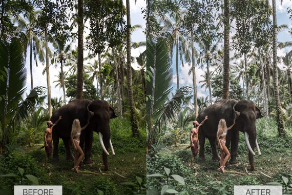 Before and after Bali Elephant